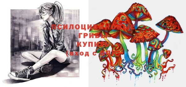 кокс Алзамай